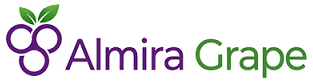 Almira Grape